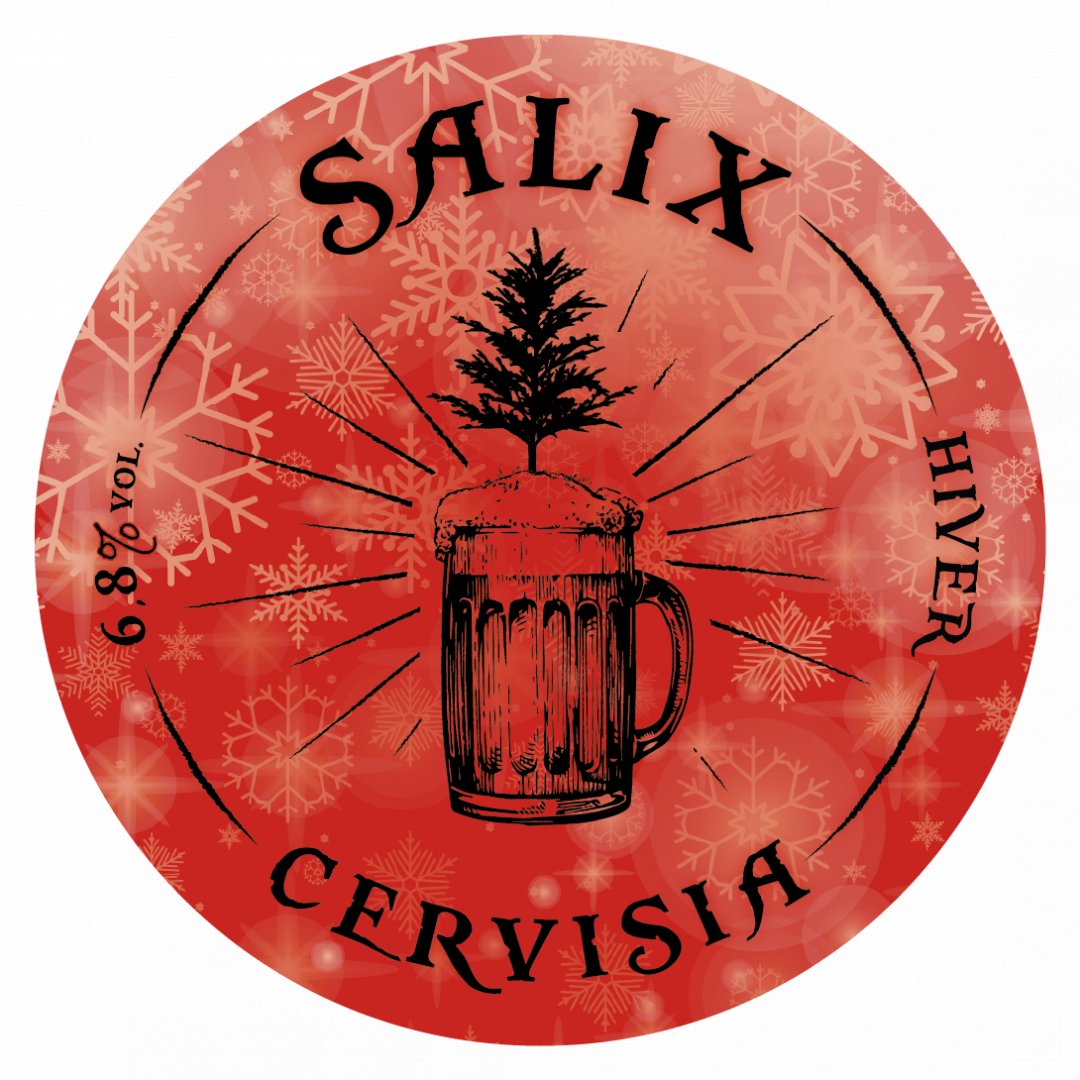 Salix Hiver