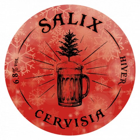 Salix Hiver