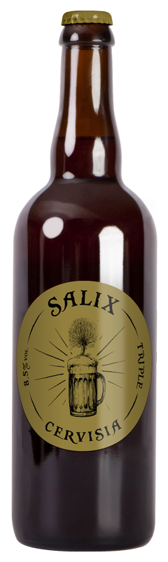 bière Salix Cervisia Triple