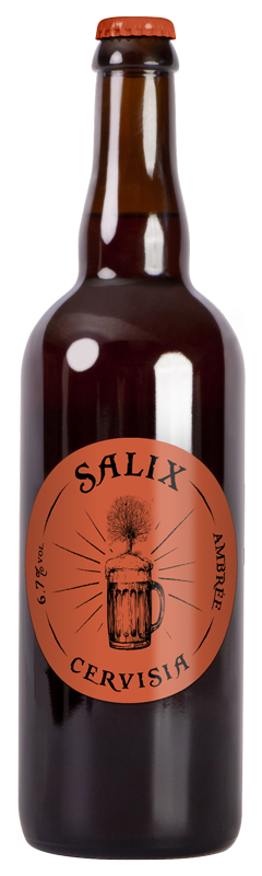 bière Salix Cervisia Ambrée